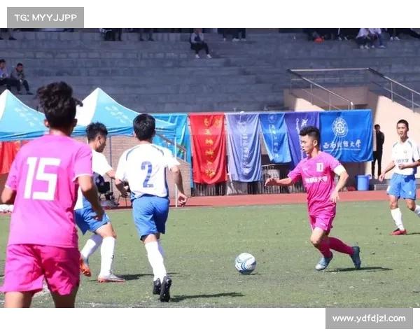 2023年法国对阵波兰精彩回顾与难忘瞬间全景分析